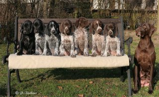 Ein letztes gemeinsames Foto