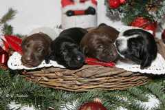 Die ersten Lebenstage 