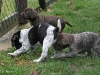 Bella, Bea und Blanka