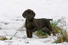 B-Wurf - erste Übungen