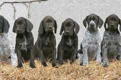 Die letzten Tage bei uns.....