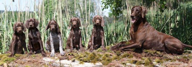 Das letzte gemeinsame Foto