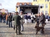 Am Samstag besuchten wir den Husumer Krabbenmarkt