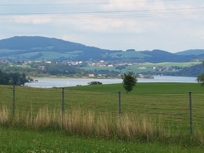 Blick auf den Wallersee/Österreich