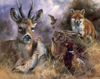 passt irgendwie gut dazu