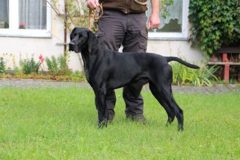 Aufgrund einer Verletzung hat Rico seine Probleme beim Zähnezeigen!