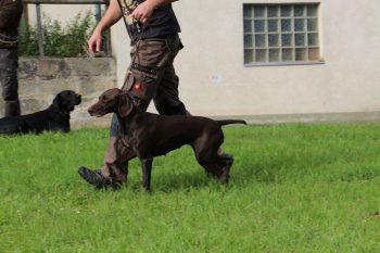 Und auch bei Fenja gab es Anlaufschwierigkeiten beim Zähnezeigen - Hauptsache es klappt an der IKP