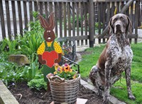 Frohe Ostern