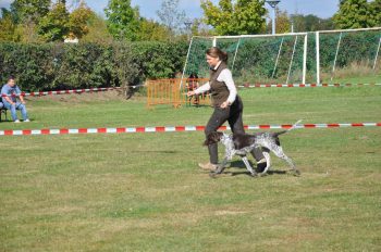 Das Vorstellen können die beiden
