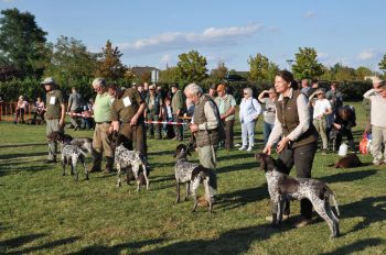 V1 - V5 Hündinnen - Herzlichen Glückwunsch