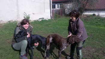 Harry und die "schwarze Dame"