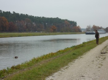 Dax beim Entenapport am Kanal